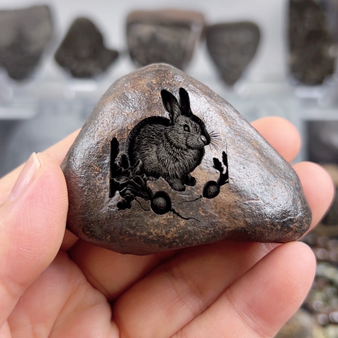 看看看看看看看看看看看