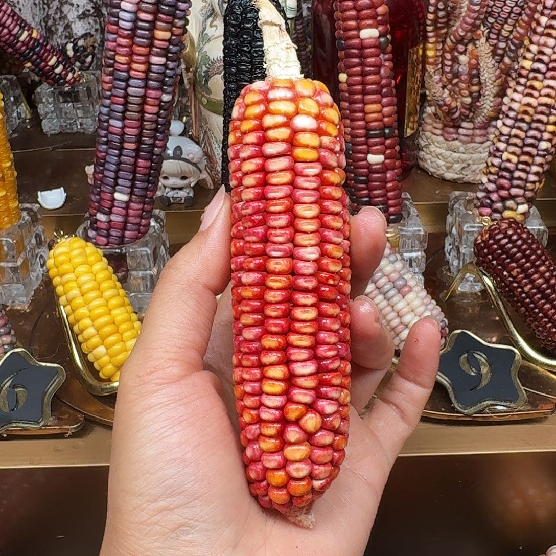 煎****吊坠柏香籽/百香籽