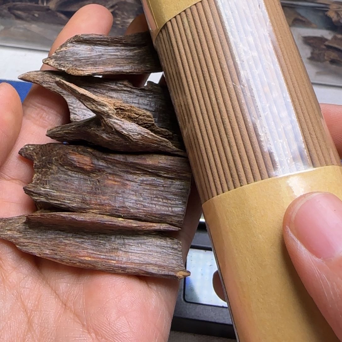 海南尖峰岭虫漏11克重