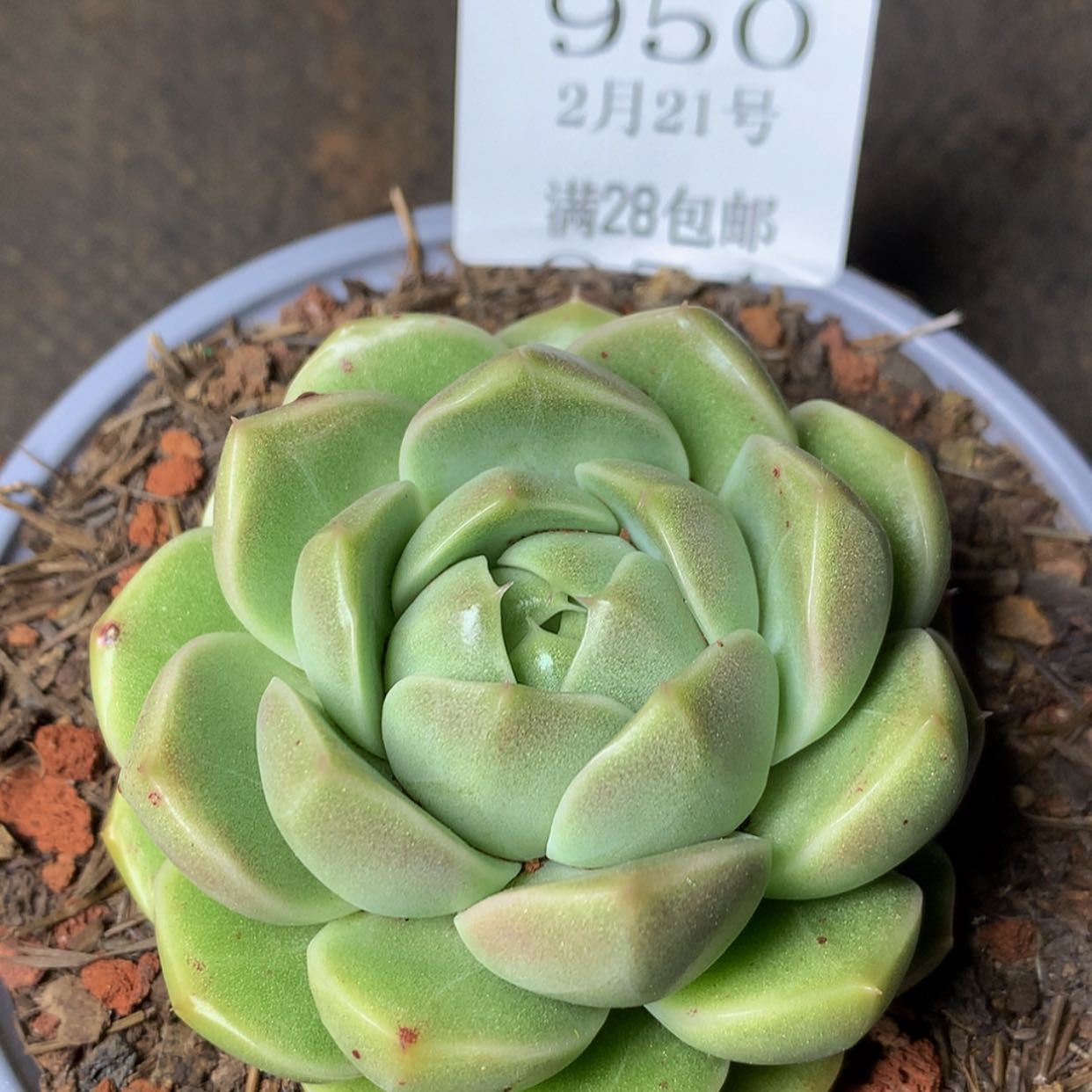 【闪购商品】云950