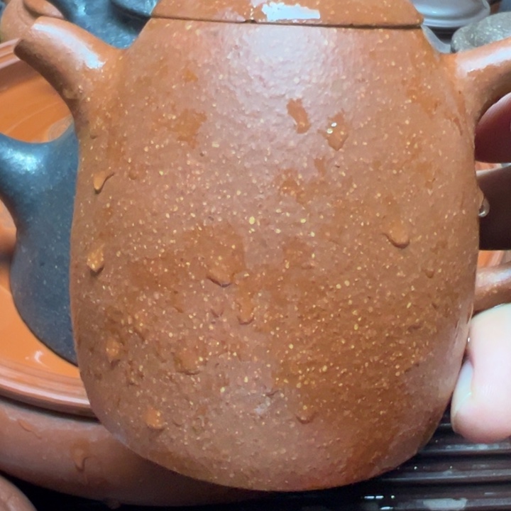 紫砂茶壶宜兴原矿红降坡