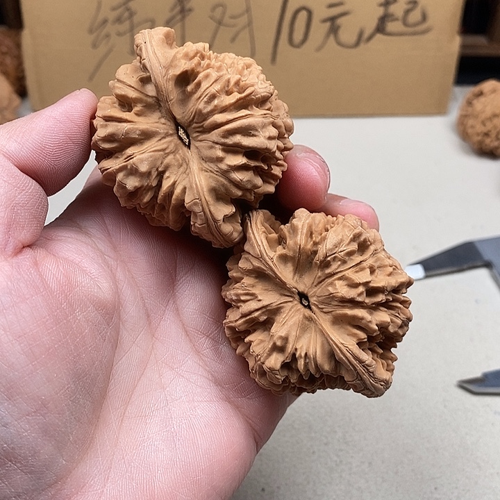 微***量吊坠龙脊菩提314.314.314