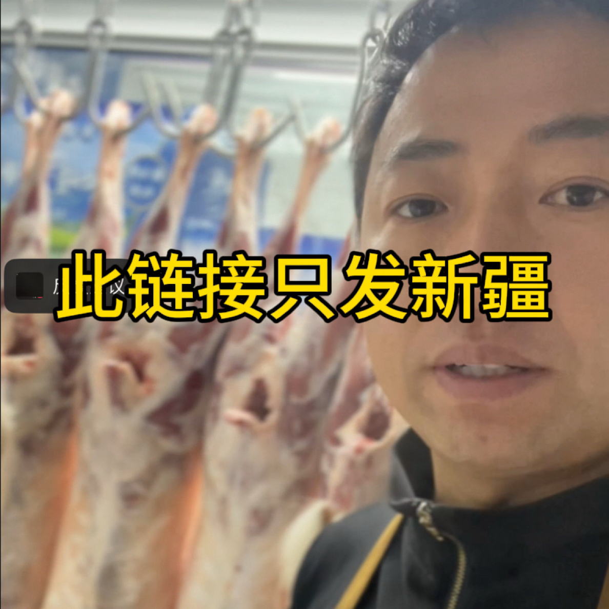 新疆塔里木河畔小山羊，冰碴拘俐
