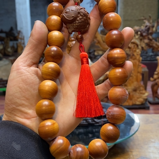 柏木（崖柏）太行崖柏