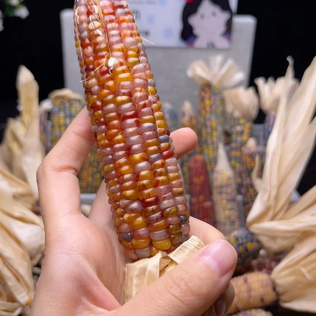 家居摆件文玩玉米摆件手盘件【一物一拍直播间选no退no换】