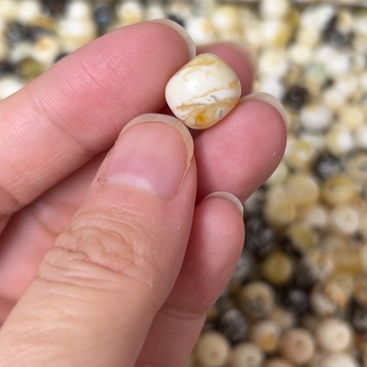 蜜蜡未镶嵌裸石11.5mm一个