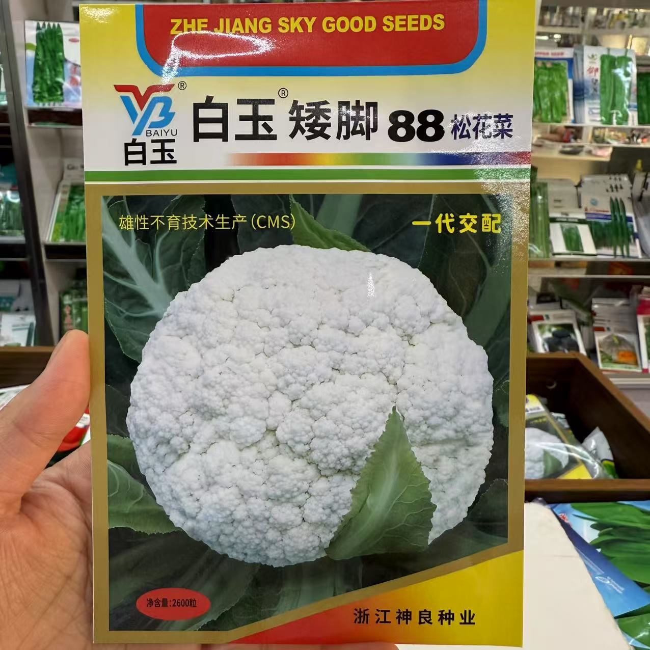 晚熟耐寒松花菜种子高产花椰菜种籽适合南北方春秋播种