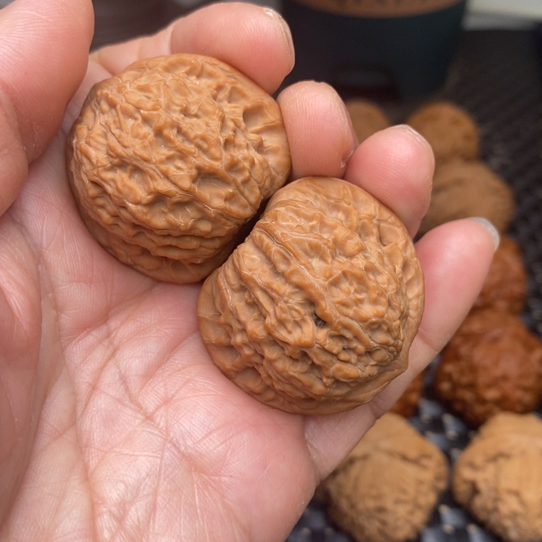 文玩核桃把件小*野生血麒麟