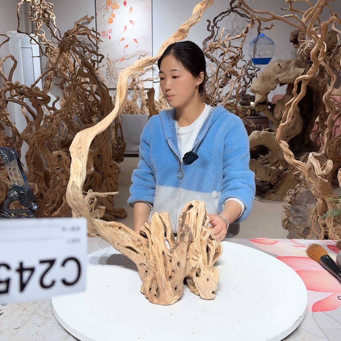 风车木（黑檀木）沧**笑