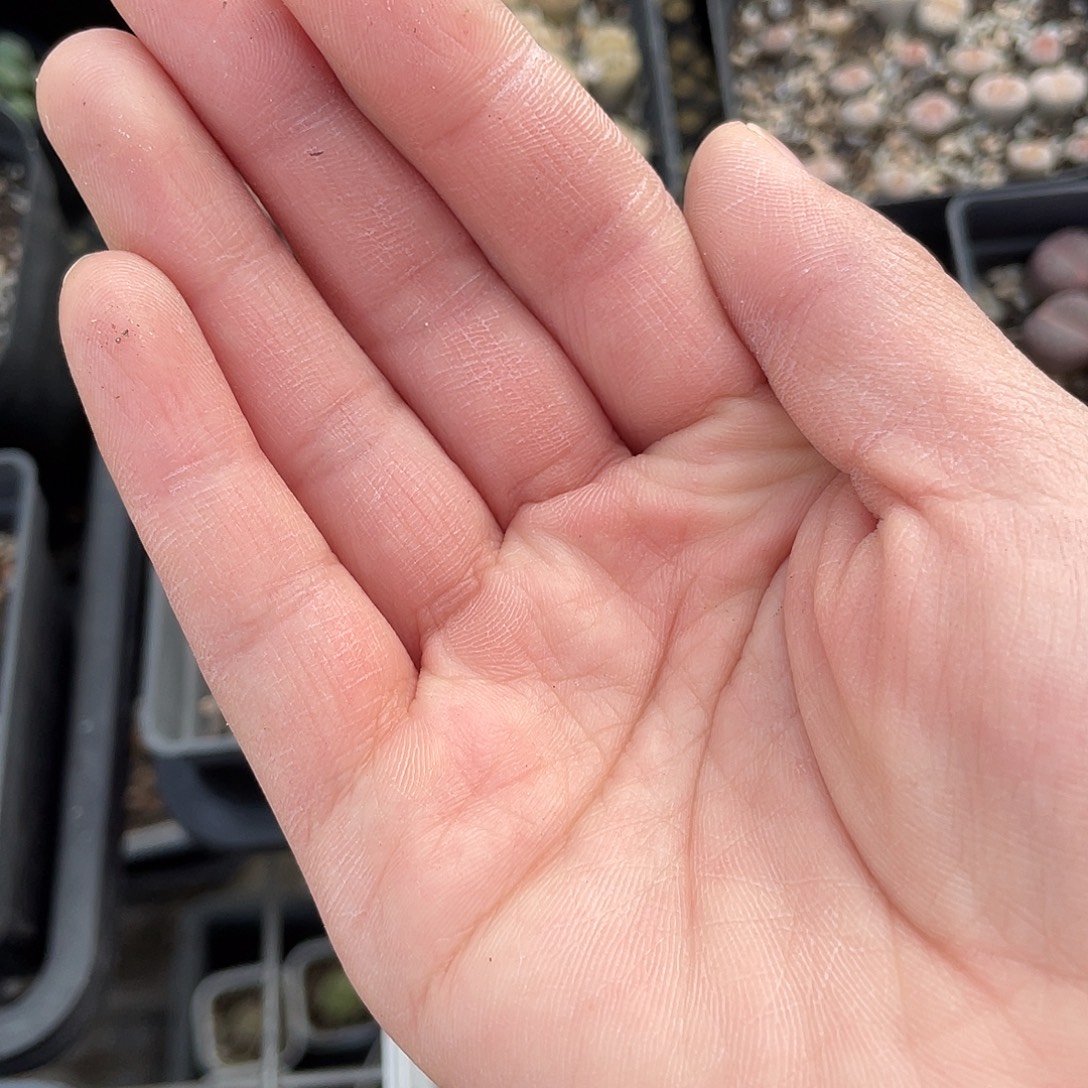 100000花花花花花