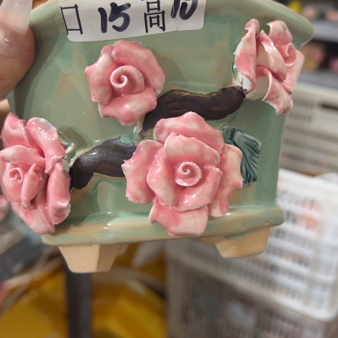 爱退拉黑多肉满20发货