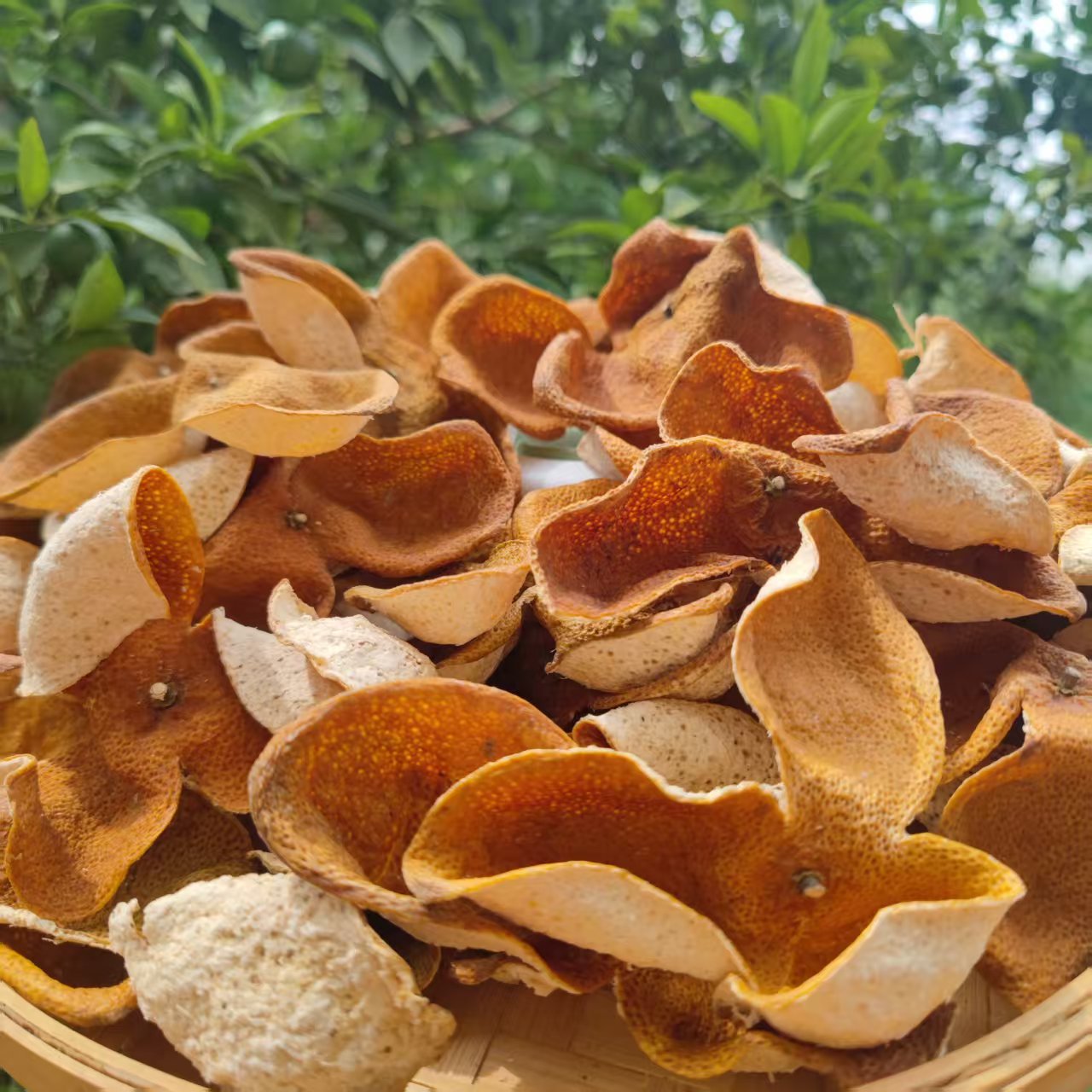 广西陈皮 2025年老树皮 茶枝柑陈皮自然生晒皮500克