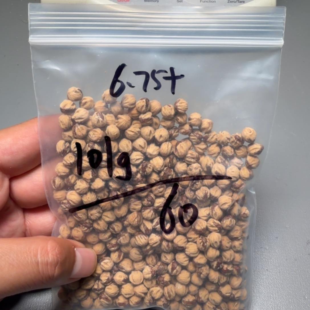 枫***吊坠柏香籽/百香籽