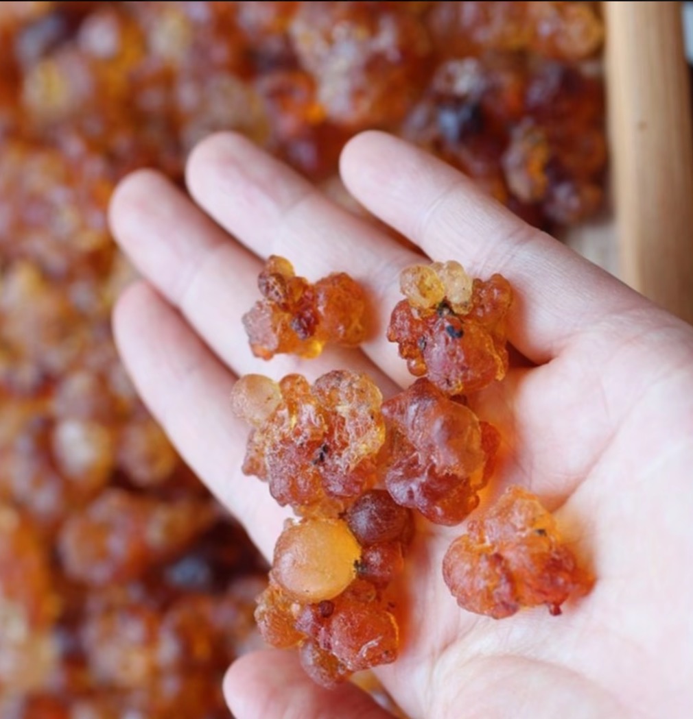 [助农专场]云南精品桃胶大颗粒足称磨角干净鲜炖银耳搭雪燕皂角米