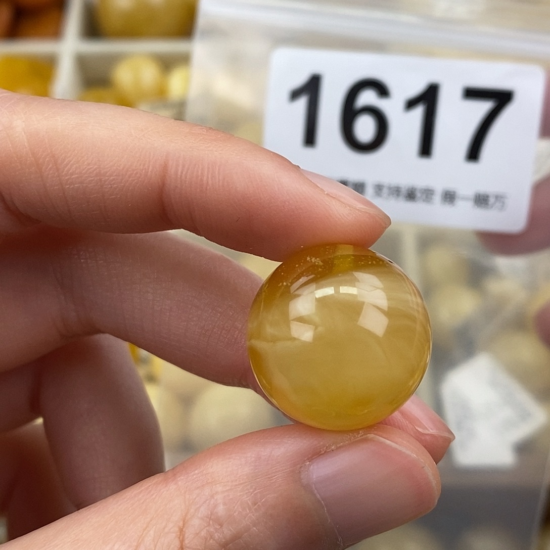 蜜蜡未镶嵌珠宝奇石19.6