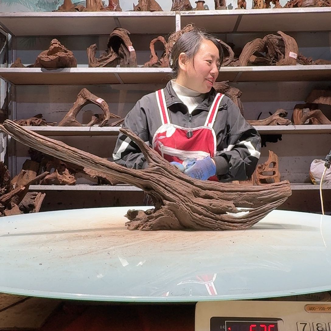 倍诸沉木不包损必褪色小*仔6985