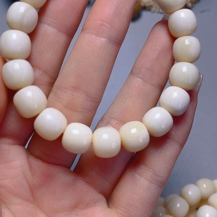 大果紫檀（缅甸花梨）