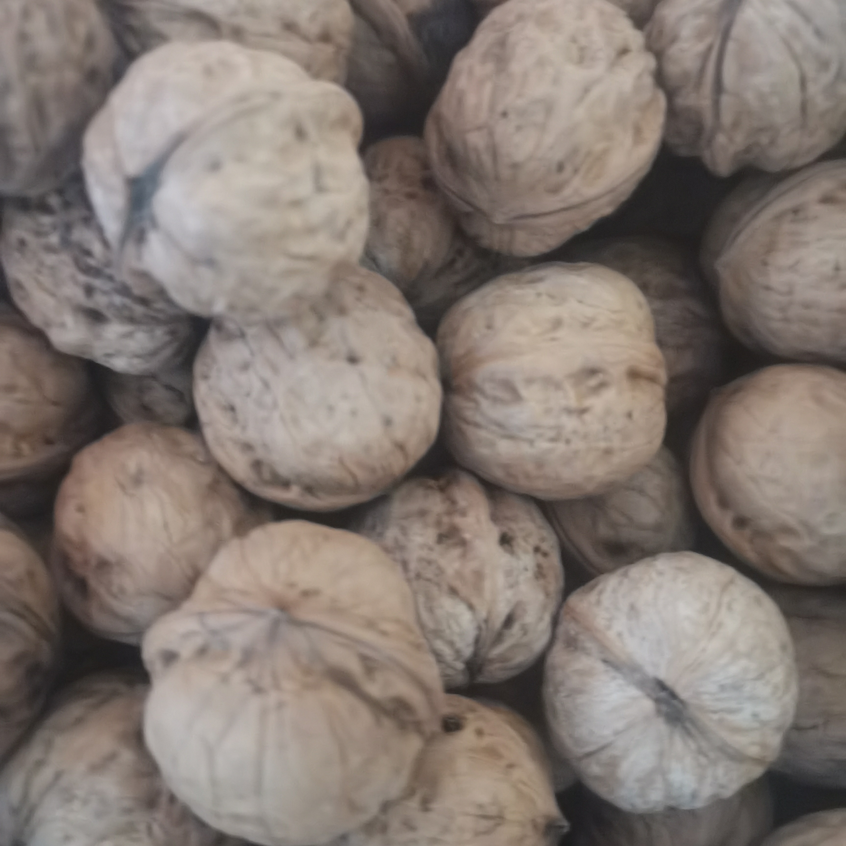 老周山货商洛老树核桃拒绝水洗 核桃本色