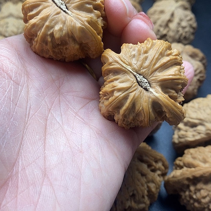 送***郎龙脊菩提吊坠白师子44