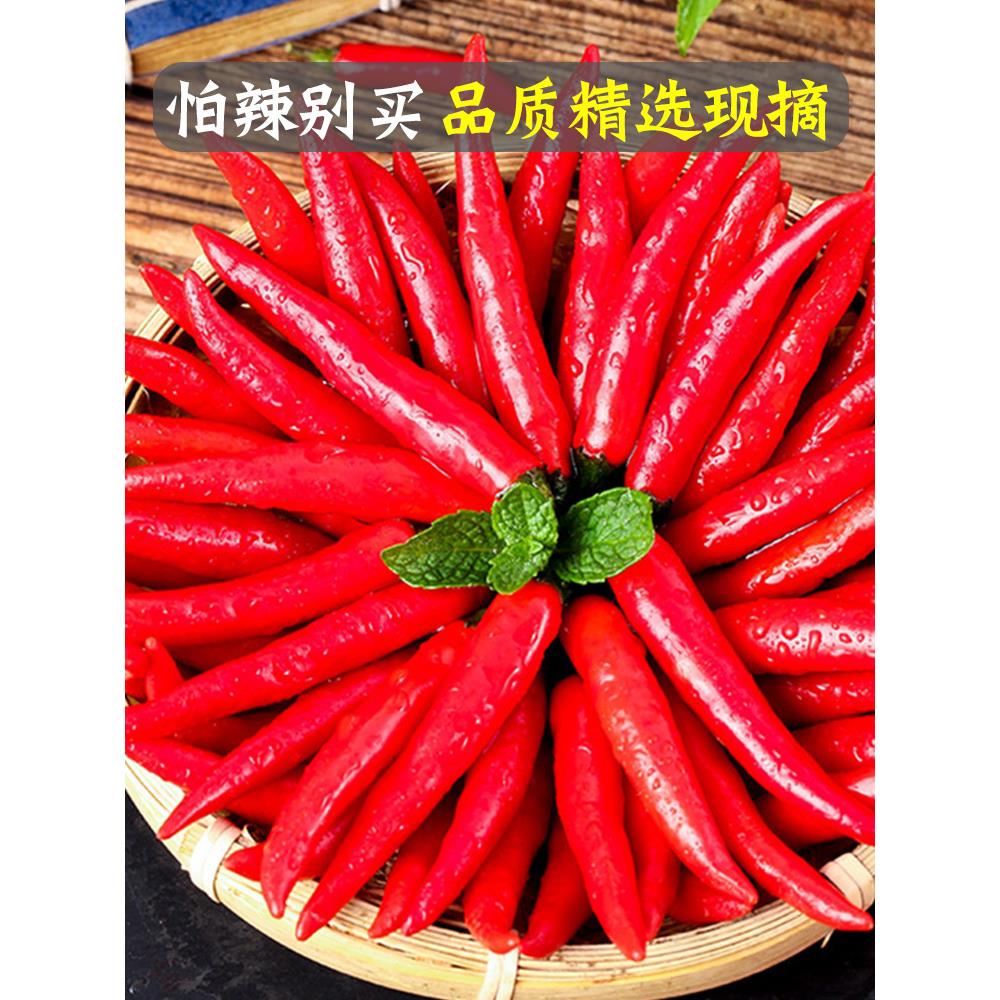 小米辣椒新鲜小米椒朝天椒特辣超辣薄皮红辣椒指天椒