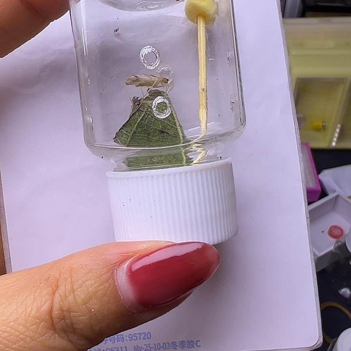 用***5哈哈哈哈哈哈哈哈哈哈哈