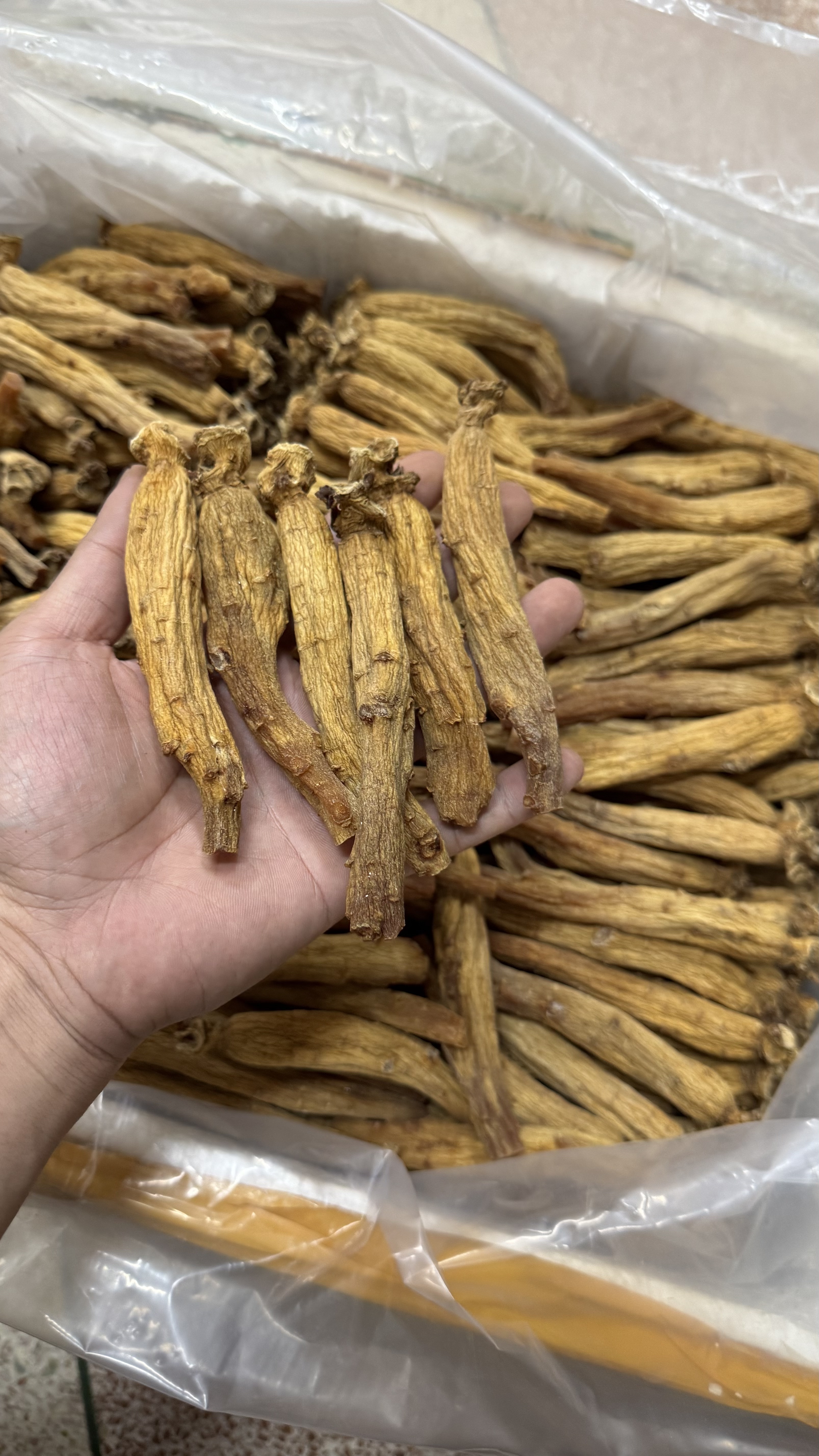 精品原支20支  高丽红参  参香浓郁可泡茶泡酒