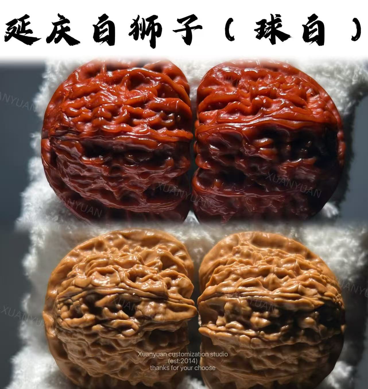 【鑫启专属】XQ16 延庆白狮子（球白）（打底）文玩核桃