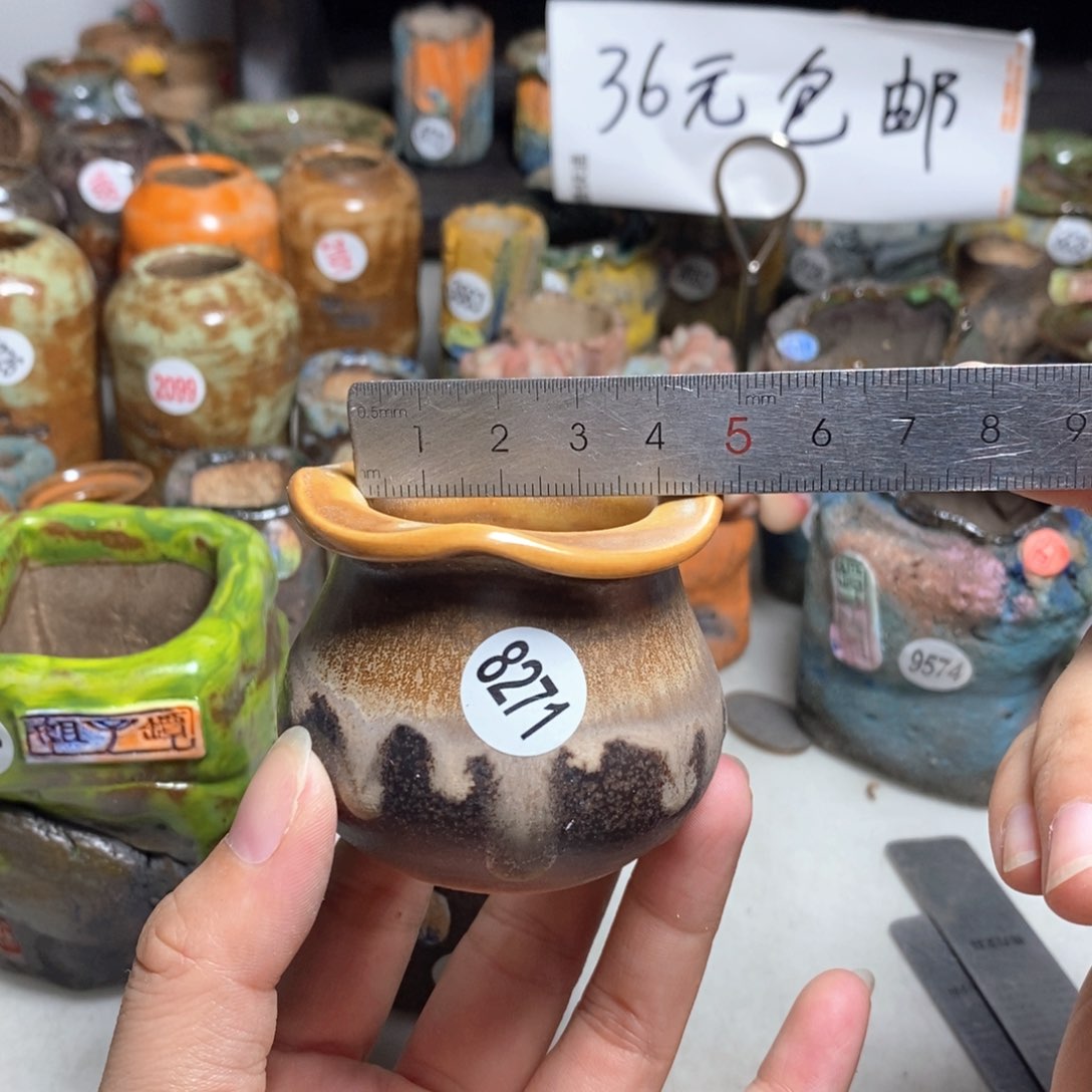 拍5送一个小礼物