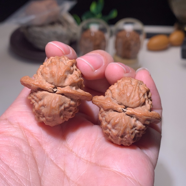 文玩核桃把件龙公子