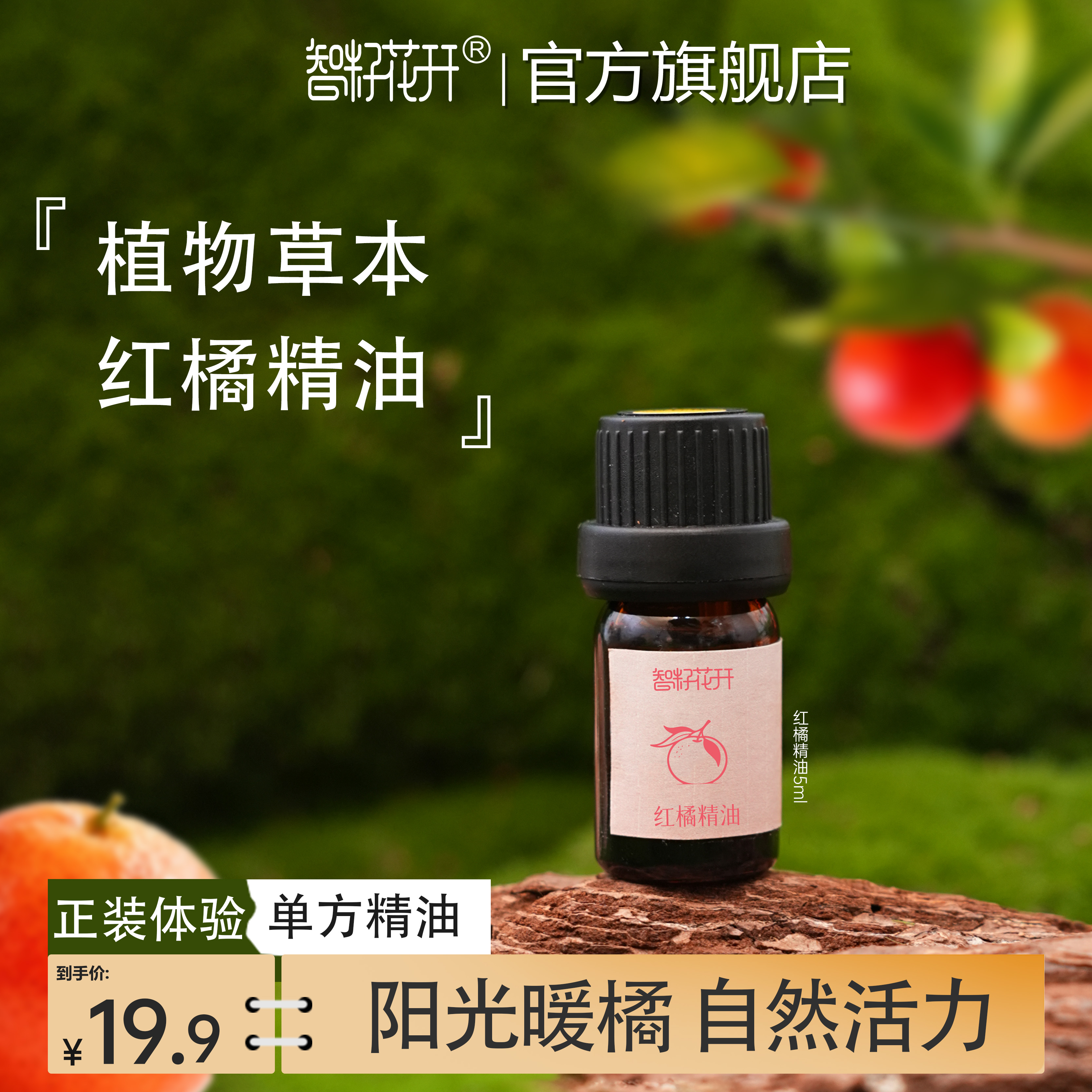 【红橘单方精油】红橘香气甜美清香暖香调香扩香