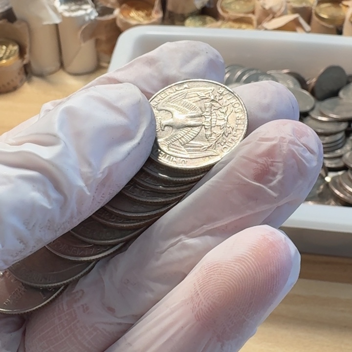 其他普通金属10枚，老鹰币，流通品