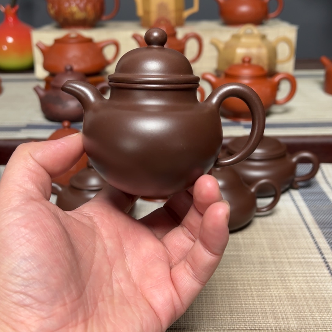 小***蔡茶壶紫砂宜兴紫砂