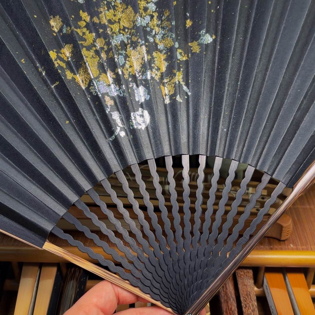 扇子爆炸金龙鳞棕竹