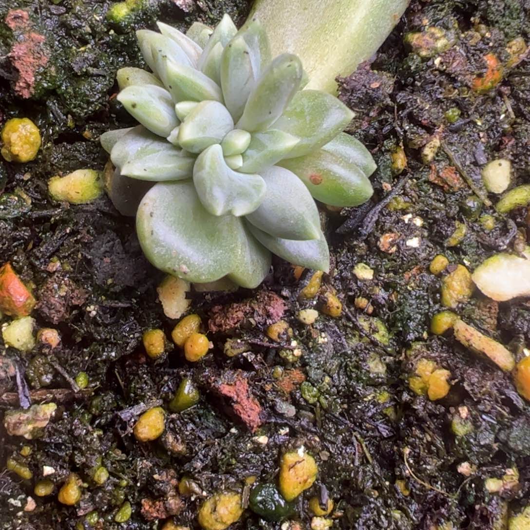 要***心牵手，一物一拍