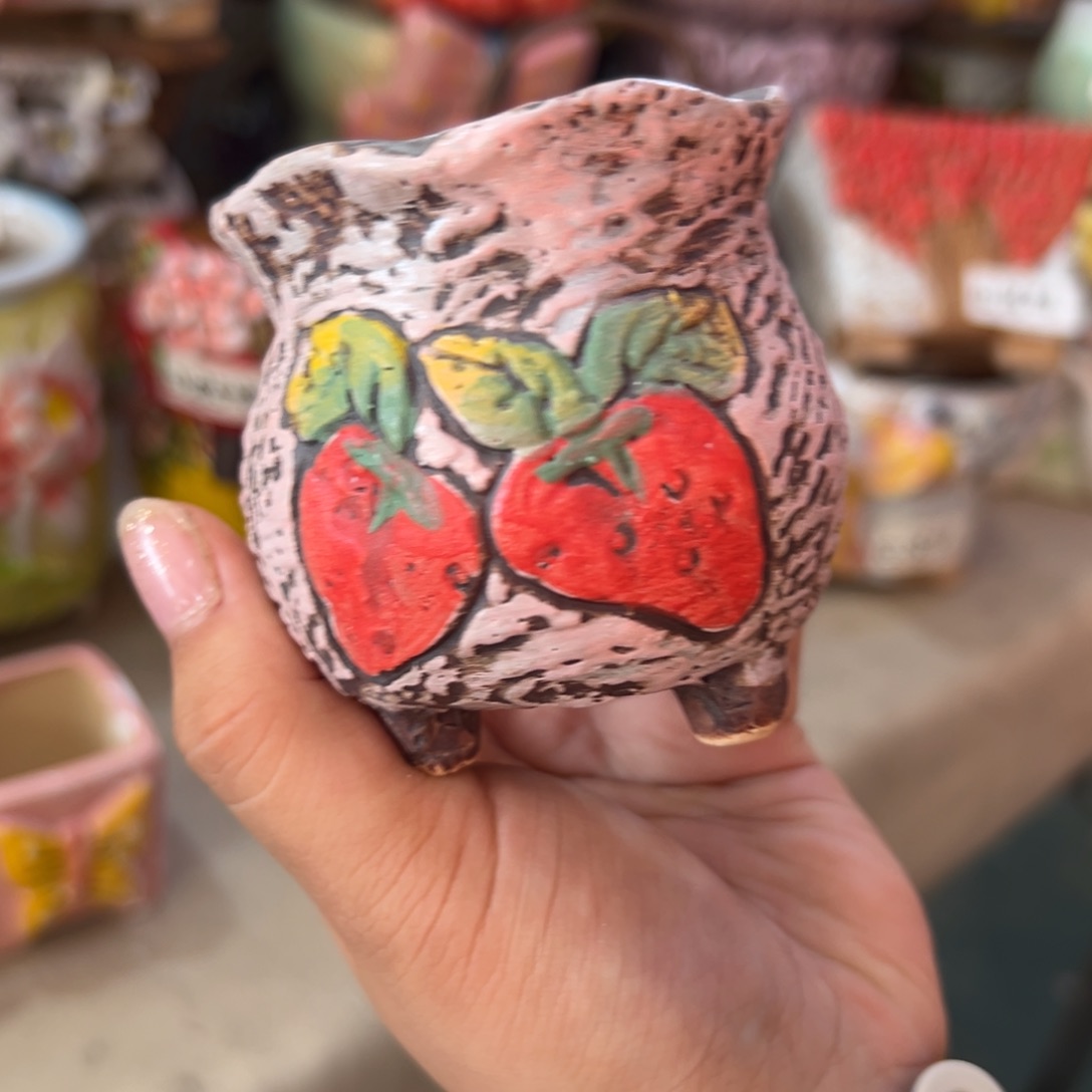 满20米秒退拉黑花盆