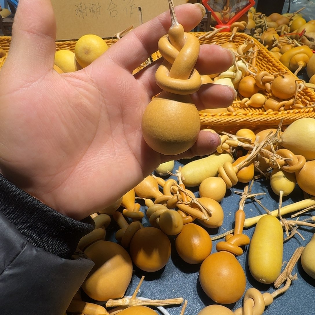 爱***油葫芦阿你不想理她