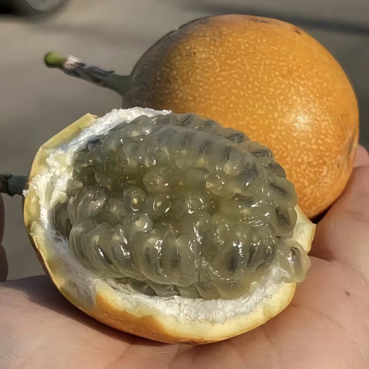 海南空运热情果，24一盒2个