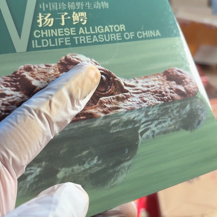 其他普通金属扬子鳄卡册