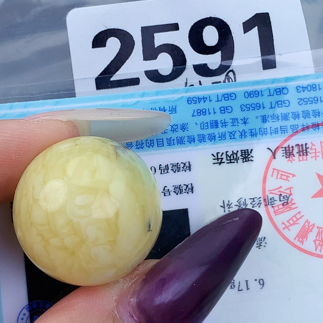 琥珀未镶嵌珠宝奇石22.3植物