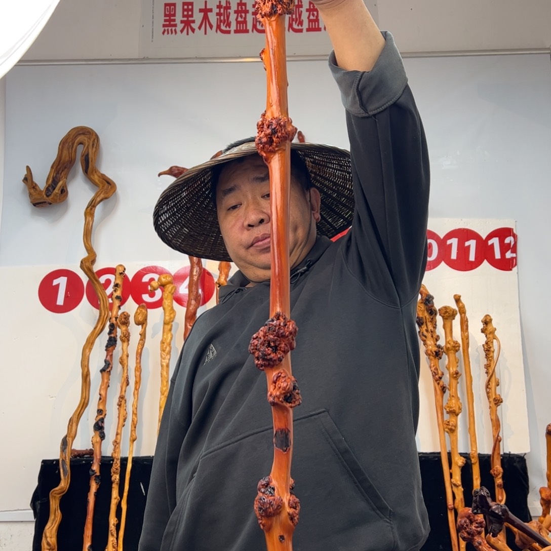 黑果木其他黑果木199