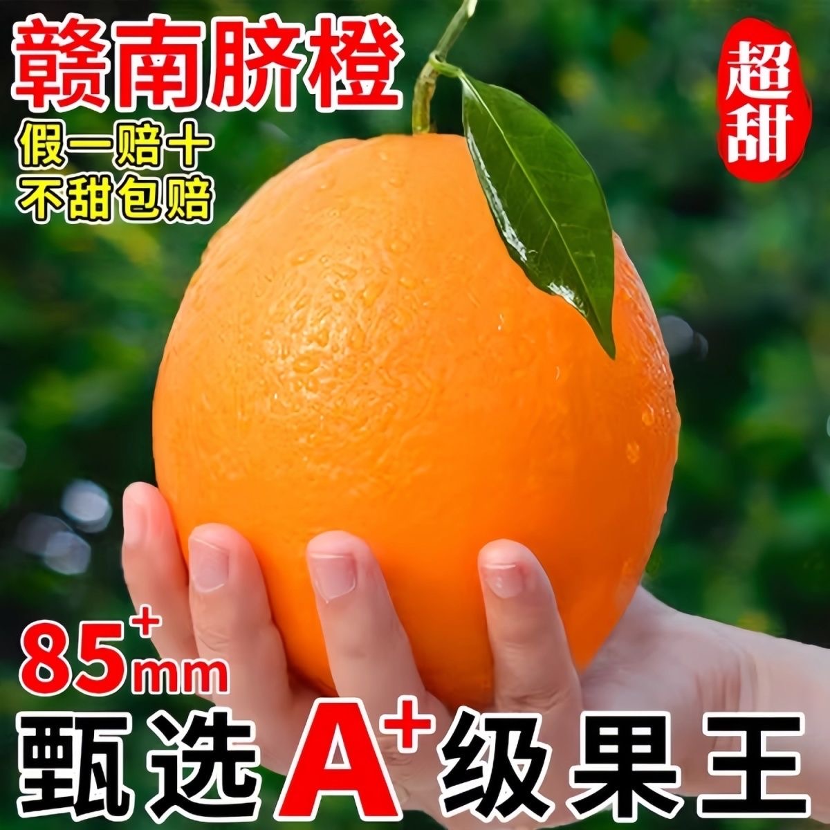 （爱心助农）自家果园正宗赣南脐橙新鲜现摘果园直发香甜多汁手剥橙