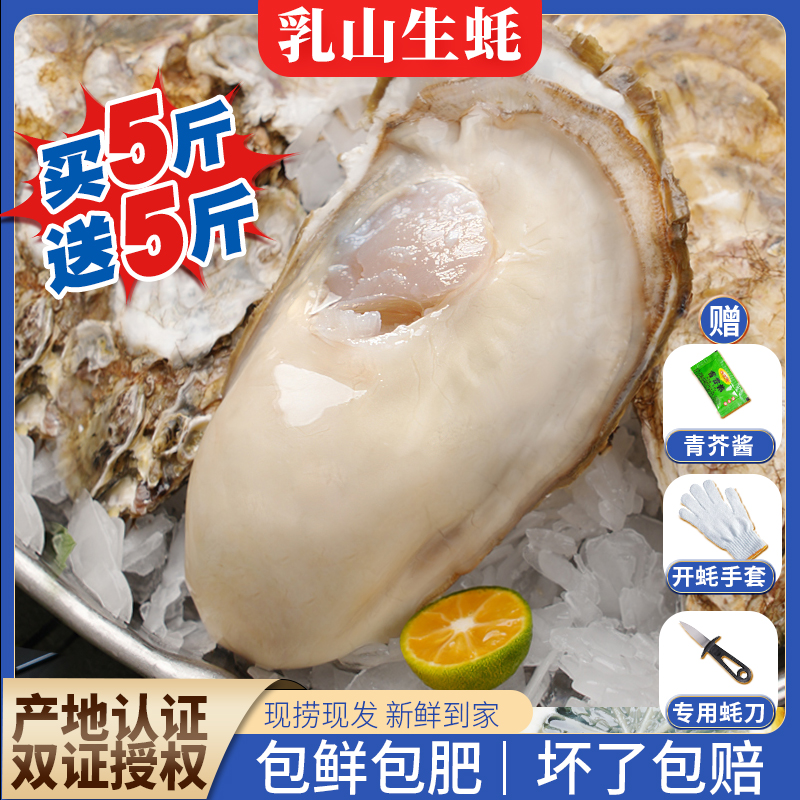 【5斤送5斤】 正宗乳山生蚝包活新鲜牡蛎大特大海蛎子鲜活海鲜水产