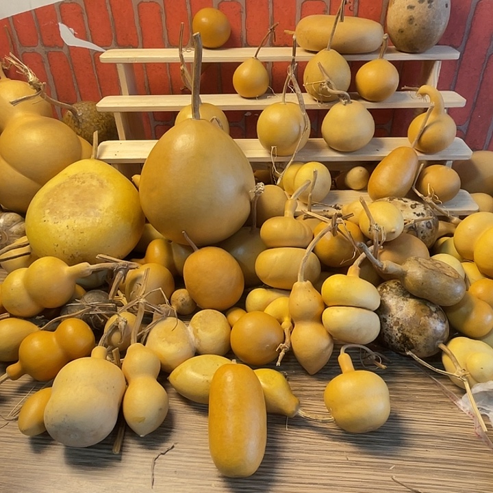 甦***6羊羔毛哈哈聚会哈哈哈哈哈哈