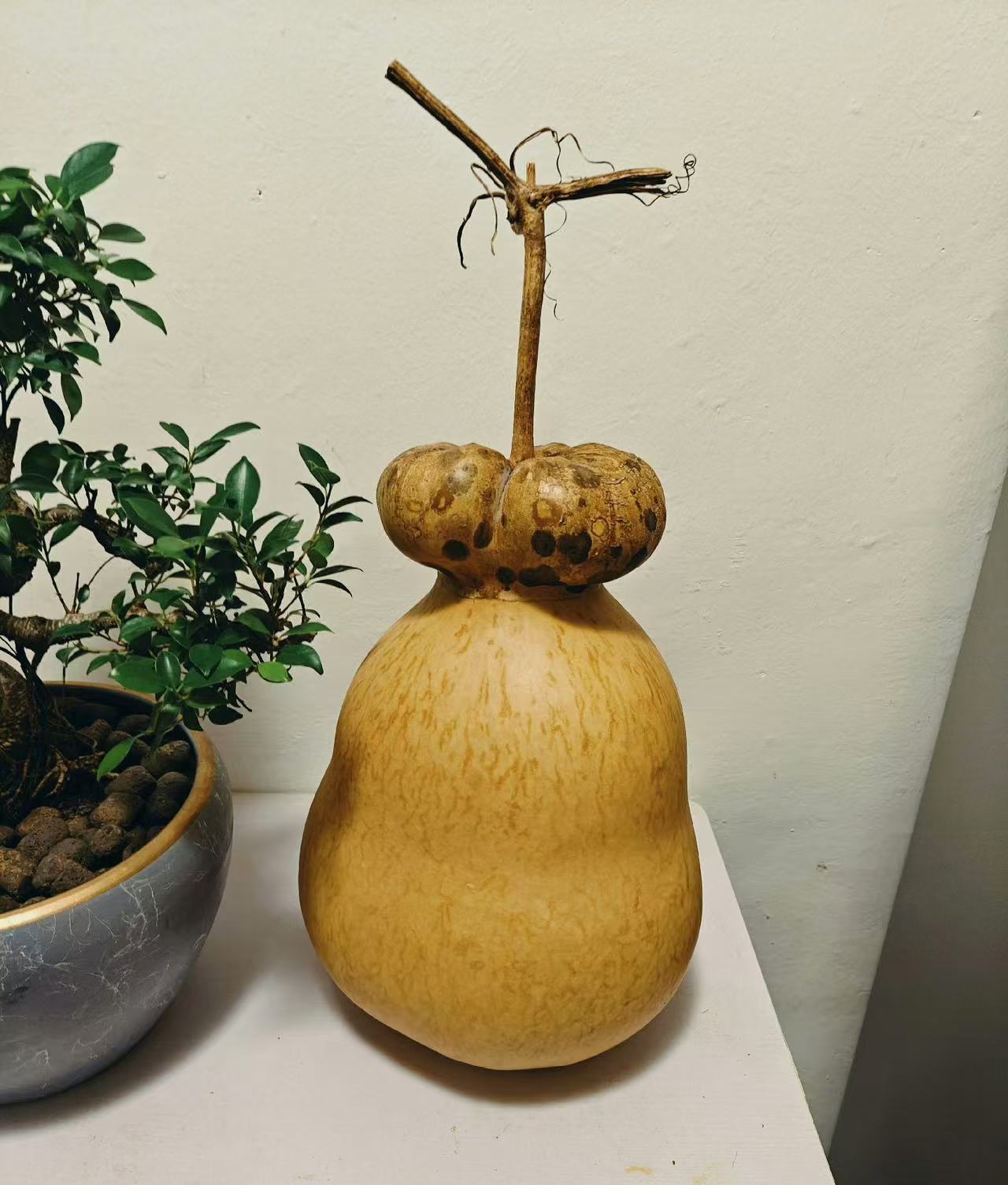 【葫芦下单链接】 大葫芦摆件手把件 到付不包邮 默认微瑕