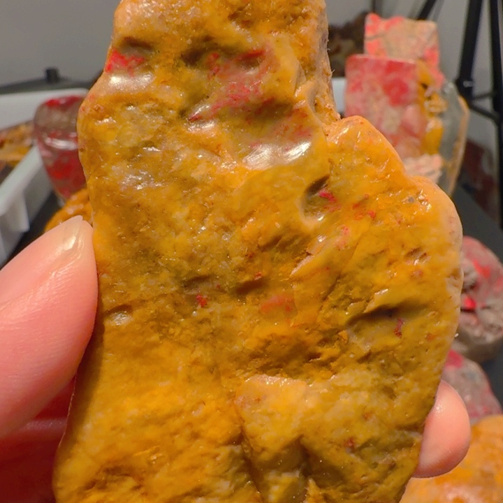 藏***主昌化石印石昌化鸡血石