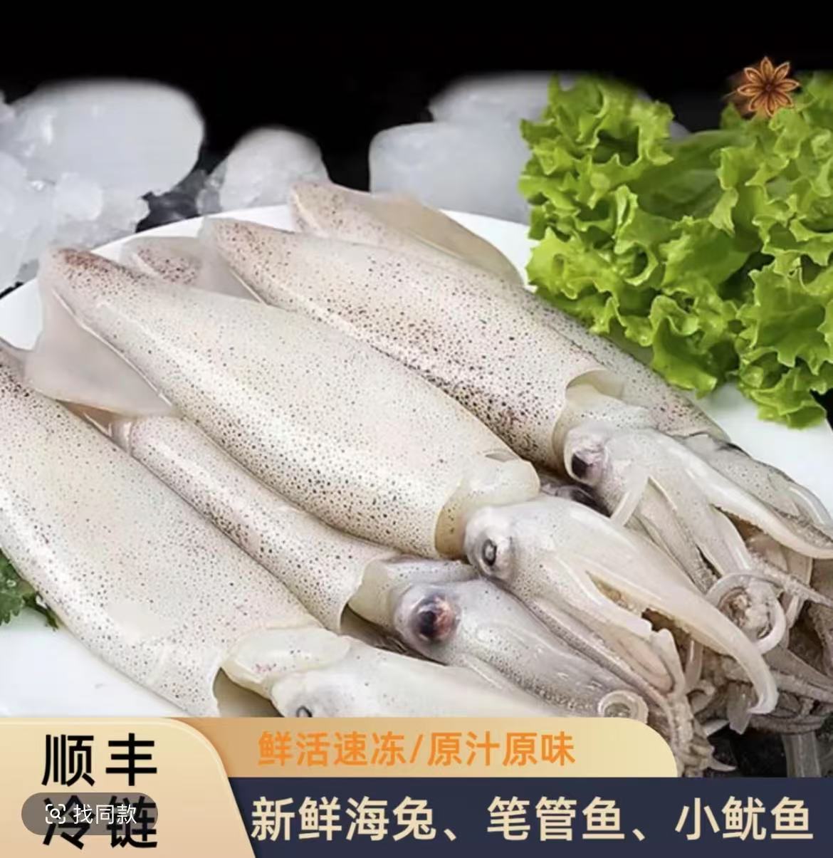 新鲜速冻海捕公海兔/笔管鱼4斤 （每斤10-16条）速冻锁鲜 顺丰