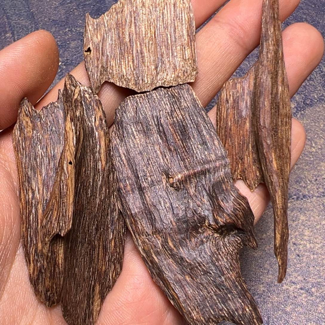 沉香沉香碎屑树心虫漏10克