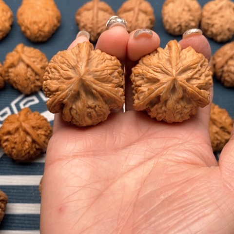 橄榄核手串/手链文山三棱御龙粗筋38