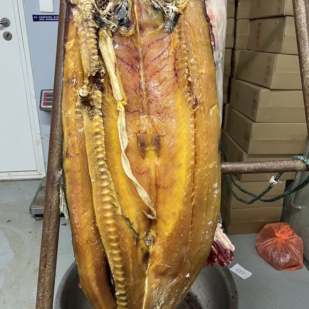淮河流域咸香型（黄剑鱼）鳡鱼 自然晾晒风干京东发货