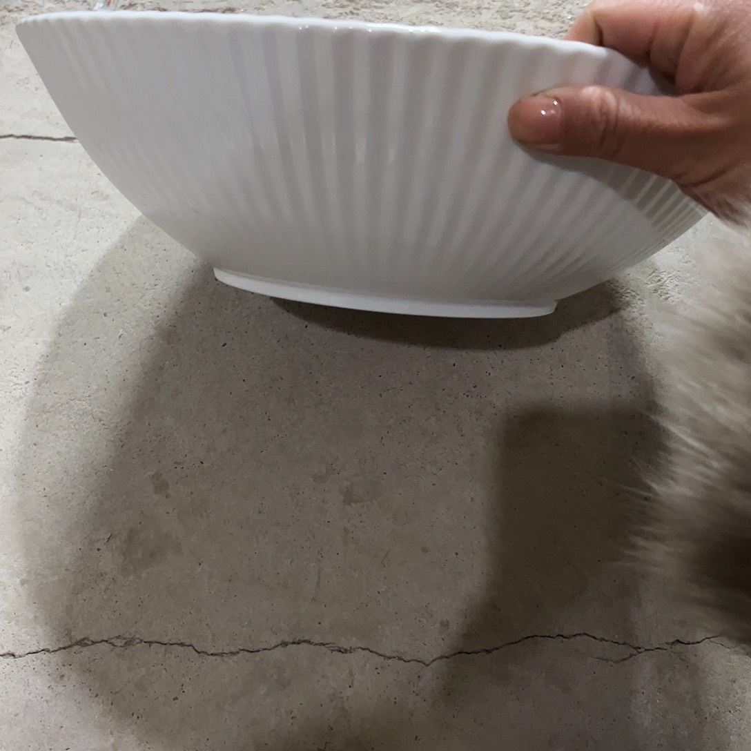 瓷片浮雕12寸的一个微瑕